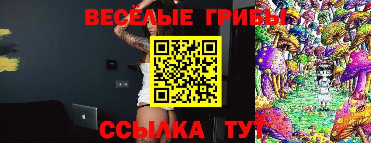 Псилоцибиновые грибы Cubensis  Псилоцибиновые грибы Psilocybine cubensis  Вход с VPN  Махачкала 